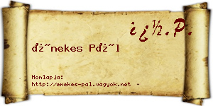 Énekes Pál névjegykártya
