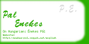 pal enekes business card